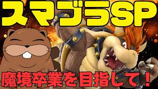 【 #スマブラSP 】魔境卒業チャレンジ！【心おれたら参加型】