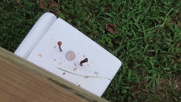 Deus 2 (V3.10) 9" FMF Coil Comparing SENS and SENS FT at 6.8 Disc (Normal ops per Xp)