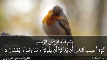 سورة العنكبوت كاملة بصوت القارئ المهندس أحمد فايز الحراسيس