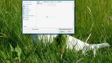 Battlefield 2 NO-CD Tutorial