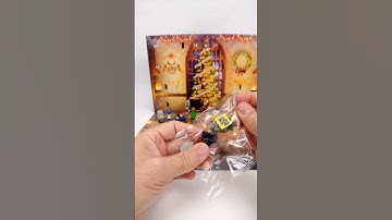 Opening Day 9 LEGO Harry Potter Advent Calendar 2024 76438 #lego #adventcalendar2024