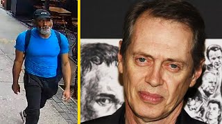 Steve Buscemi Got Punched By A Stranger In NYC, What Happened?