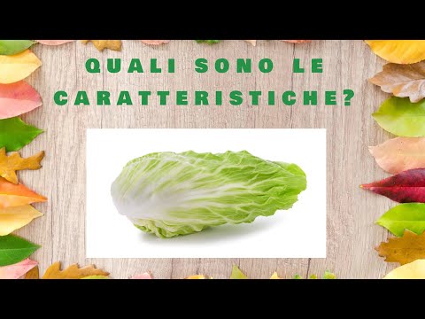 Video: Perché si chiama Pan di Zucchero?