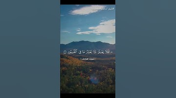 سورة العاديات كاملة بصوت الشيخ ياسر الدوسري❤❤