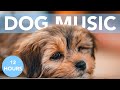 PUPPY MUSIC - 12 Hours of Soothing Lullabies for Dogs & Puppies!