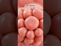 Why Your Lips Get Dry 💋