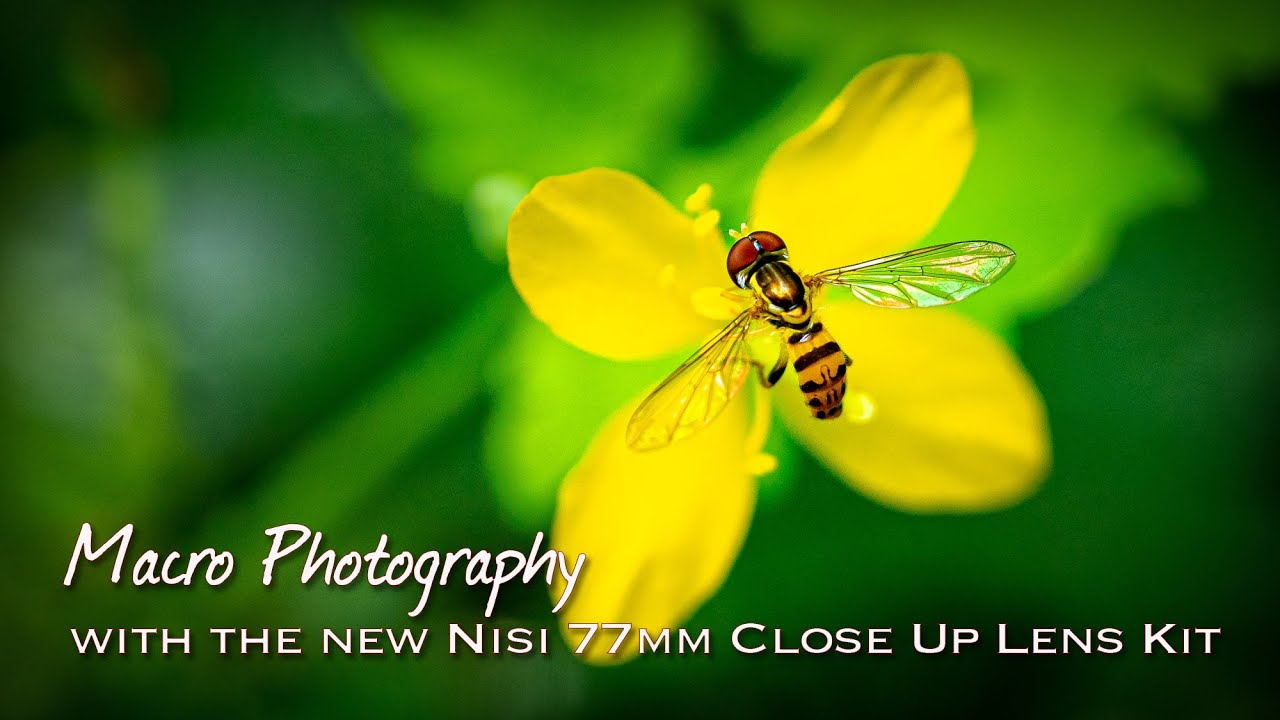 First Look - The NiSi 77mm Close Up Lens