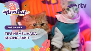 Si Anabul RTV - Tips Memelihara Kucing Sakit (Episode 66)