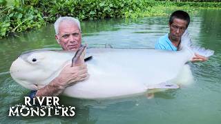 Download Lagu River Monsters Full Episode - Season 7, Episode 1 - Mekong Mutilator MP3 Download Lagu River Monsters Full Episode - Season 7, Episode 1 - Mekong Mutilator MP3