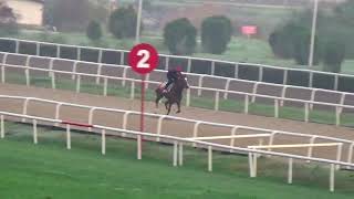 ESKİ TOPRAK 600 meter derece 41 rahat    26 10 2025 PAZAR