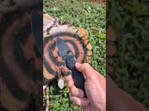 Spyderco Shaman Stump Stickin'