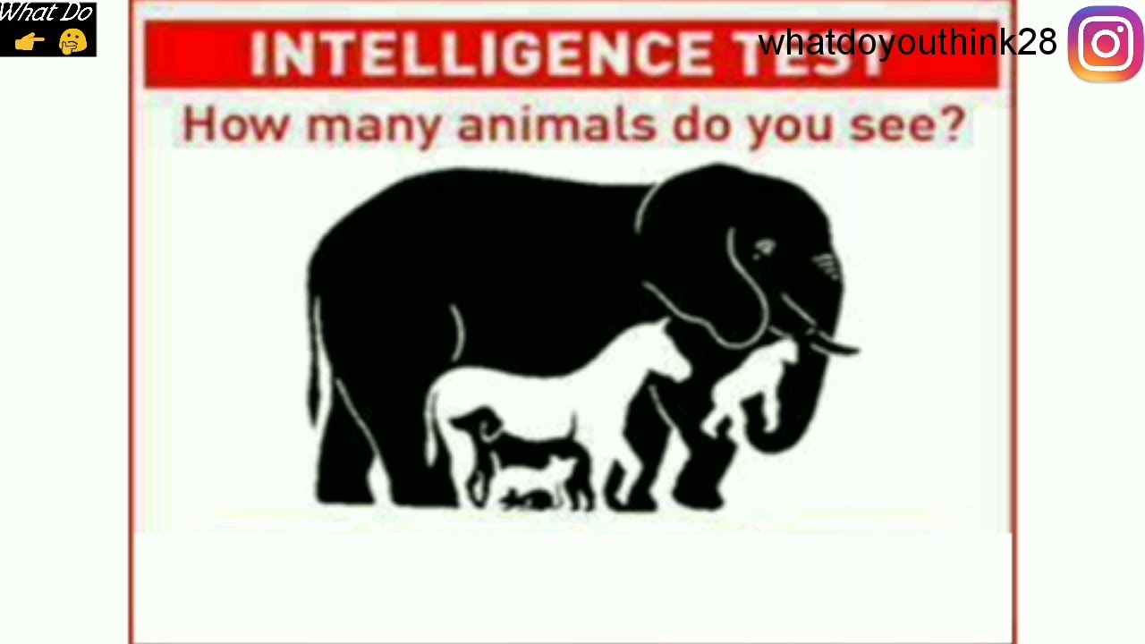 How many animals live. How many animals do you see. How many animals can you see. How many animals Cardsr.