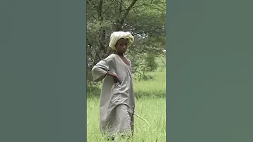 بادية غرب كردفان 