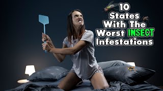 The 10 States with the Worst Insect Infestations