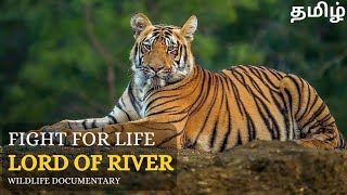 Fight For Life  | Wild Animals , Tamil Documentary |
