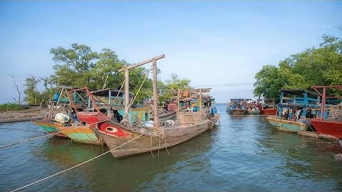 Tham quan biển rạch bùn Gò Công Đông đường đê biển dài nhất của tiền Giang