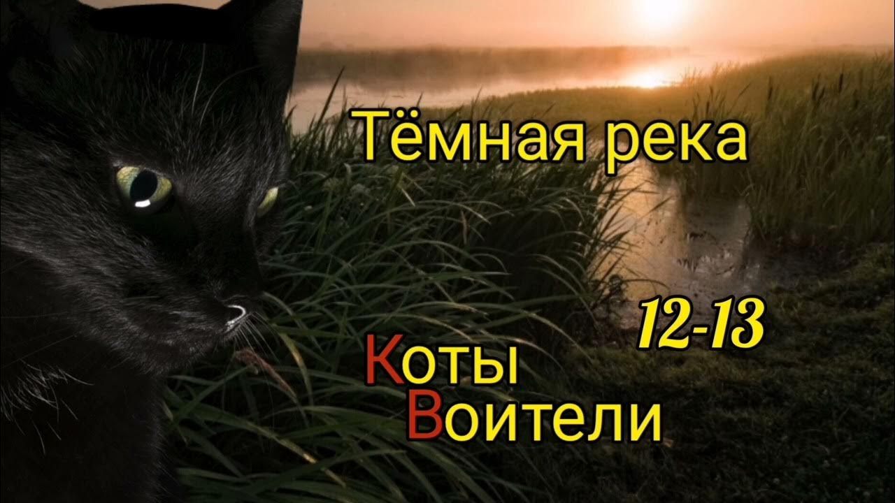 КОТЫ ВОИТЕЛИ. Тёмная река. Главы 12-13. - YouTube