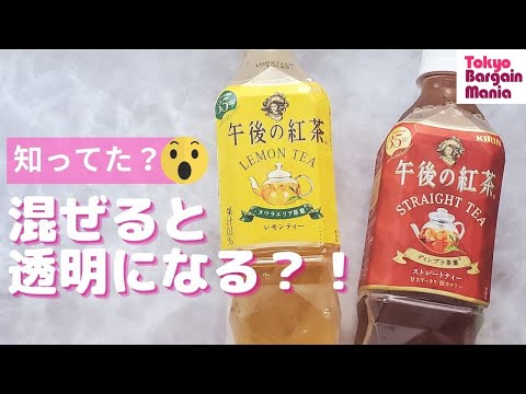 午後の紅茶を混ぜると透明になる？！おもしろ実験スタート　#Shorts