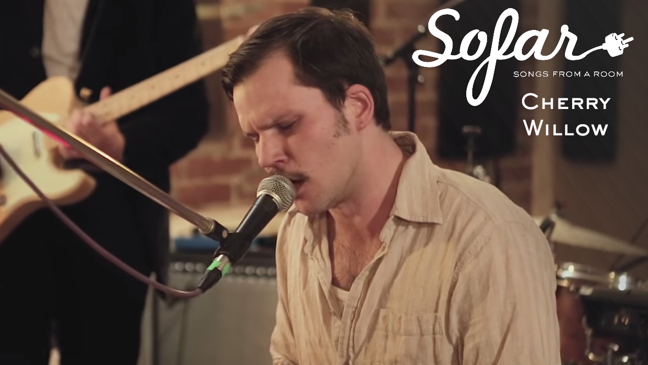 Cherry Willow - 2025 | Sofar Leipzig