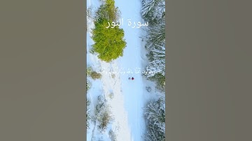 سورة النور الآية 45