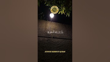 سورة النجم الآية 39-44 تلاوة الشيخ الدوسري