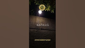 سورة النجم الآية 39-44 تلاوة الشيخ الدوسري
