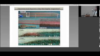 Understanding avalanche mobility