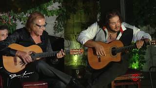 Gypsy Joe Vlado and Alex Fox - Guitar Concert @ Downhouse Live Jem Session Improvisation | EXCLUSIVE