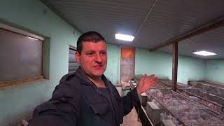 видео: ПОЧЕМУ НЕ КОНДИЦИОНЕР, ЕДЯТ ШЕРСТЬ КРОЛЬЧАТА картинка: ПОЧЕМУ НЕ КОНДИЦИОНЕР, ЕДЯТ ШЕРСТЬ КРОЛЬЧАТА