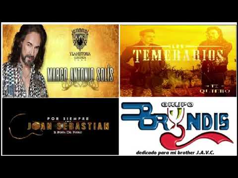 Temerarios , Marco