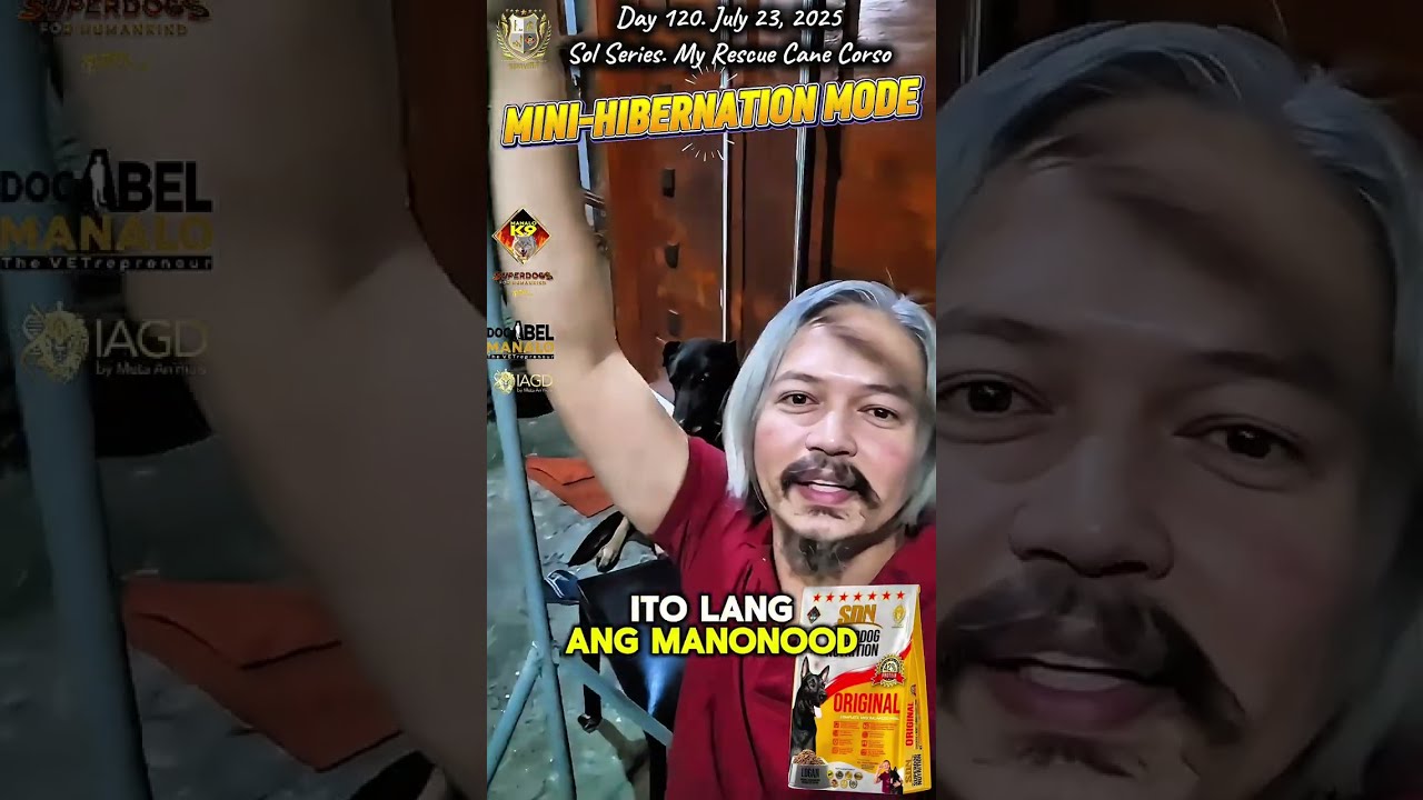 MINI-HIBERNATION MODE 😴