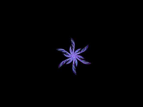 Python #coding #turtle# flower #foryou #python #graphics #designs #trending #motiongraphics