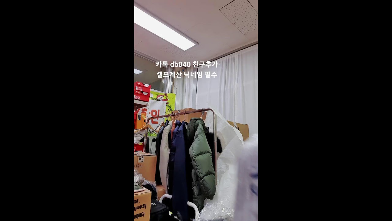 입생로랑  타미힐피거  립스틱 틴트 향수