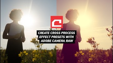 Create Cross Process Effects as Presets in Adobe Camera Raw