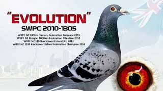 Nagrodytrofea Pana Simonsena Od 1955 R. Miles Loft Nz Siedziba Zwycięzców I Uczestników Wyścig...