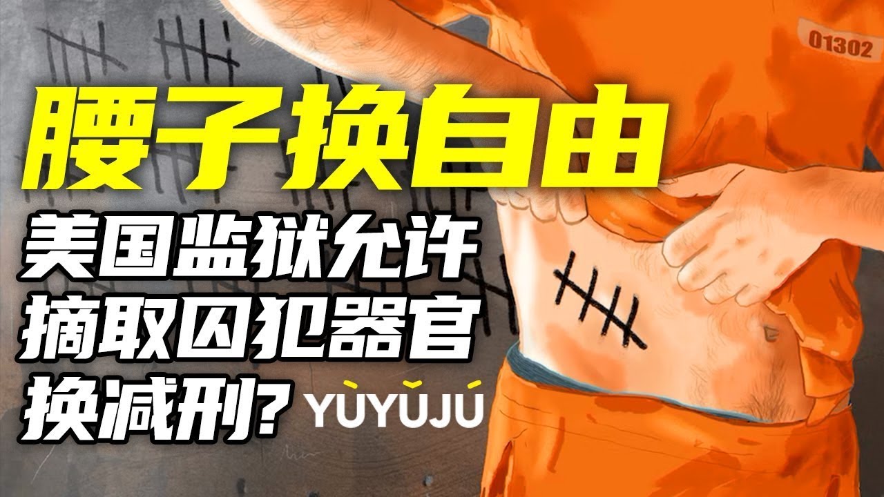捐骨髓减刑2个月,摘腰子减刑一年?美国拟立法允许监狱摘取囚犯器官,以换取减刑丨域与局 - YouTube
