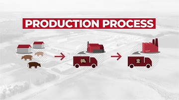 Leather production process - Europell Group