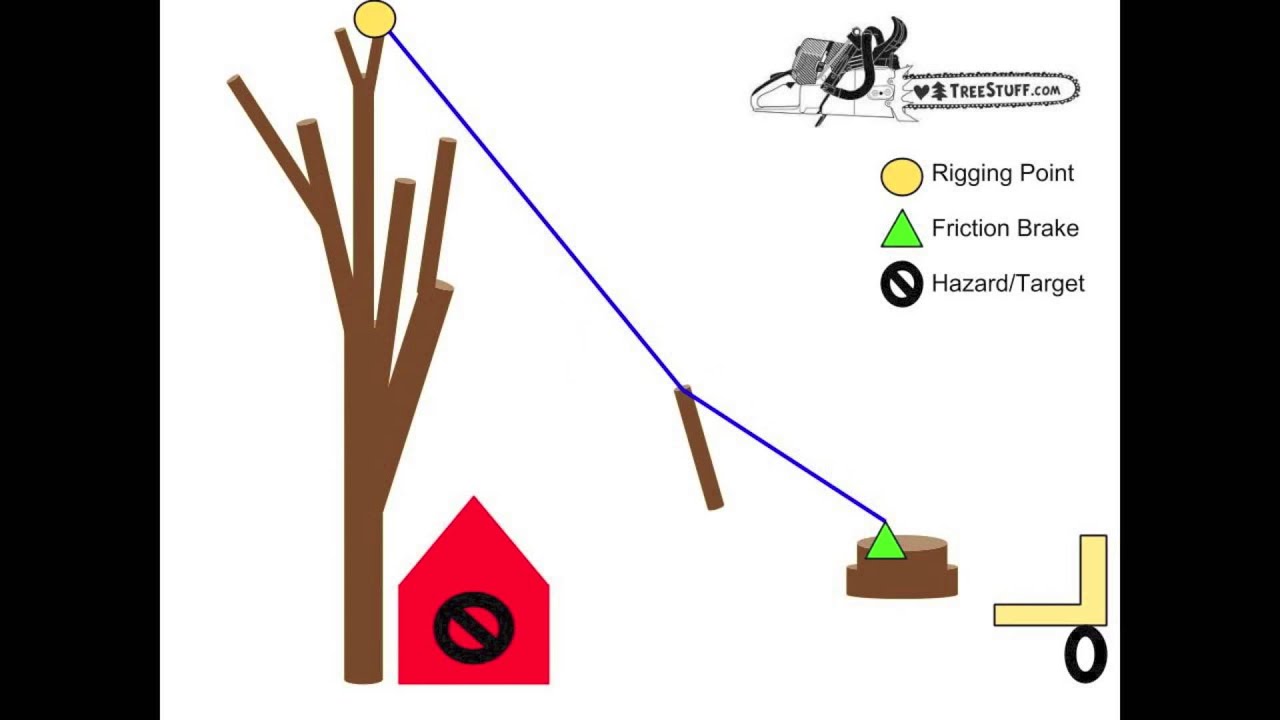 Tree Rigging : Speedline Basics - TreeStuff.com Arborist 101 