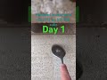 scratching concrete 100 times a day till we hit 150 subs