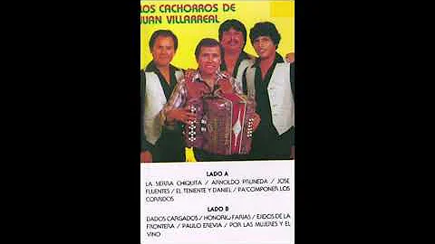 Arnoldo Pruneda - Los Cachorros de Juan Villarreal