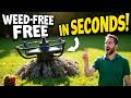 Steel Wire Weed Brush Review 2025 – Say Goodbye to Weeds Forever? #ai #garden #farming