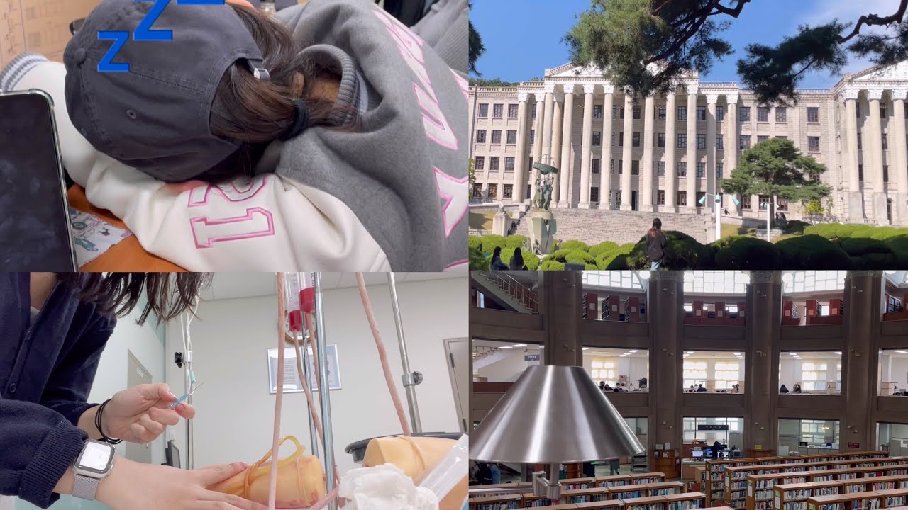 간호학과 시험기간 브이로그 / kyunghee university student nurse exam period vlog