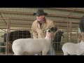 Kevin Fowler TV - 