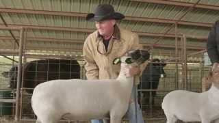 Kevin Fowler TV - "FFA" - KFTV Season 2 Episode 3