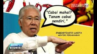 'Cabai Mahal, Tanam Sendiri'