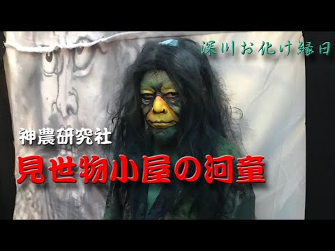 河童　ミイラ　見世物小屋 君は信じるか!?】台湾南部の見世物小屋で日本カッパのミイラを見
