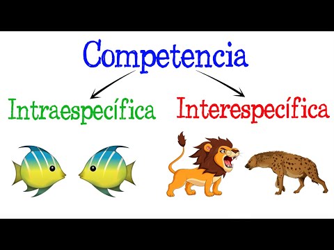 Video: ¿Qué es un comportamiento específico de una especie?