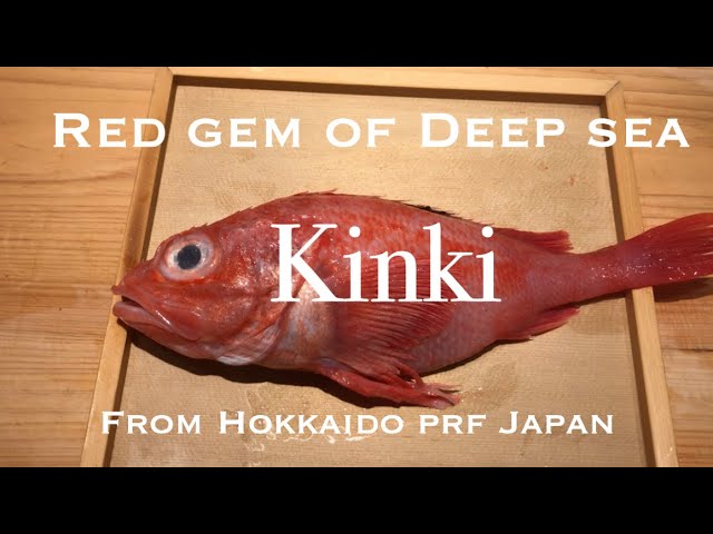 Kinmedai (Golden Eye Snapper) from Japan – Whitefin Market