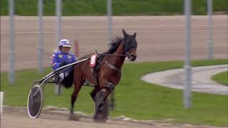 Vidéo de la course PMU PRIX LANDSTEDE RAALTE
