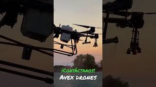 Dron Fumigando Agave